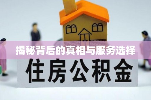 肥东揭秘背后的真相与服务选择