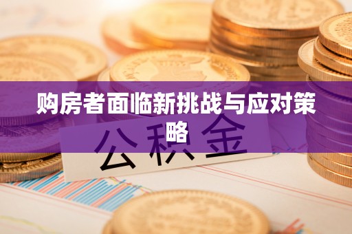 肥东购房者面临新挑战与应对策略