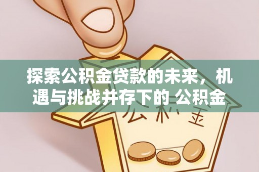 肥东探索公积金贷款的未来，机遇与挑战并存下的 公积金贷款风险防控