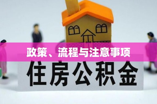 肥东政策、流程与注意事项