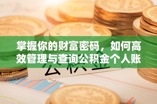 肥东掌握你的财富密码，如何高效管理与查询公积金个人账户信息